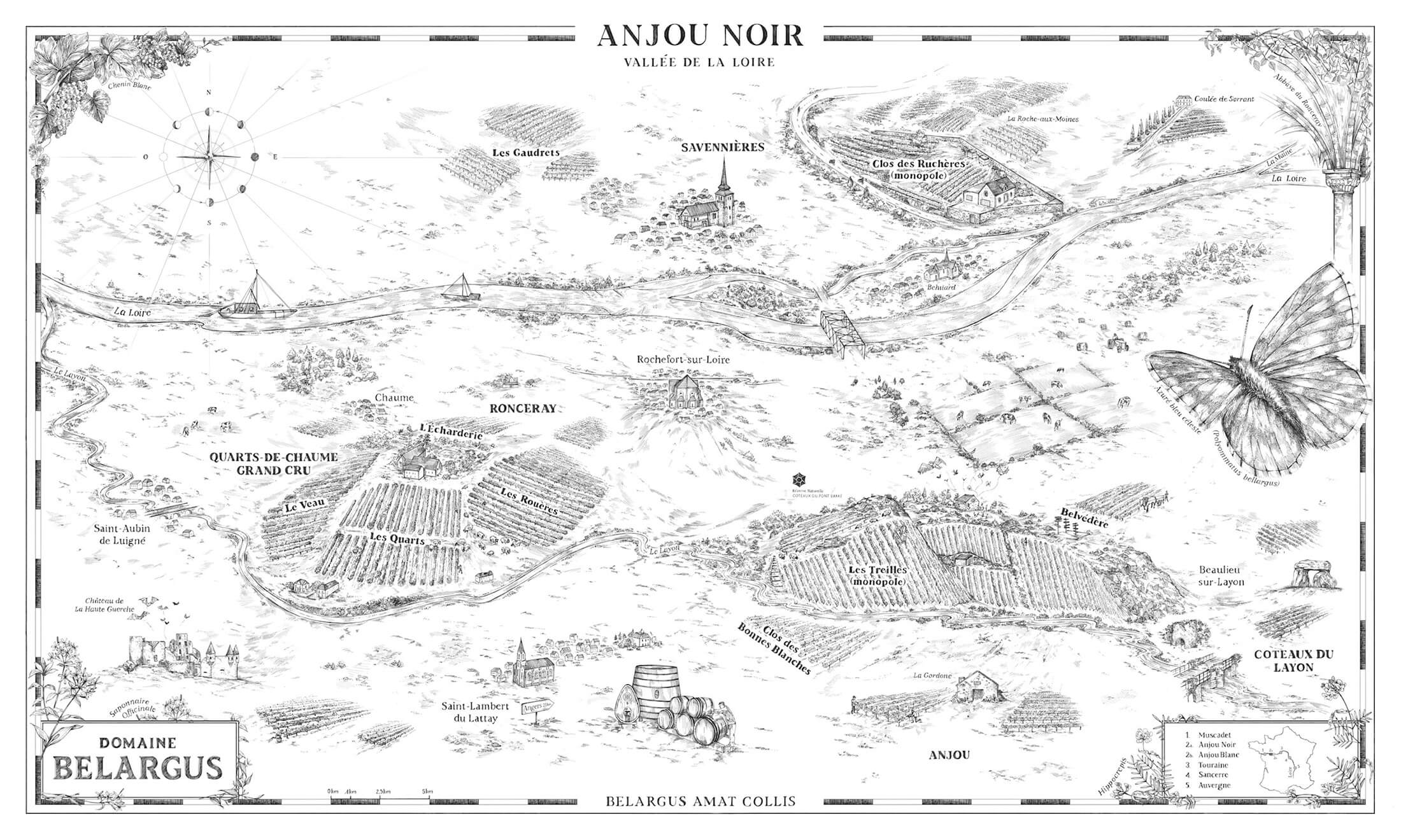 Anjou Noir - Vallée de la Loire